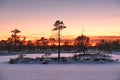 Sunset observing over forest and fields