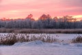 Sunset observing over forest and fields