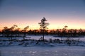 Sunset observing over forest and fields