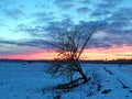 Sonow sunset observingn in Latvia