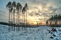 Winter sunset observingn in Latvia