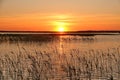 Sunset observing over lake Engure