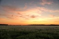 Sunset observingn over fields in Latvia Royalty Free Stock Photo