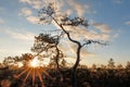 Sunset observingn over sea in Latvia