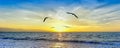 Sunset Ocean Bird Silhouette Inspiration Banner Royalty Free Stock Photo