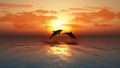 Sunset ocean with dolphins jumping Royalty Free Stock Photo