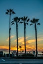 Sunset by Oceanside Pier, Palms and the Pacific Oceanin the famous surf city in California USA