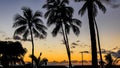 Palm trees silhouette against a beautiful sunset Royalty Free Stock Photo