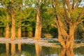 Sunset on Ogosta river, Bulgaria