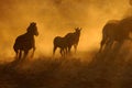 Sunset at Okaukeujo, Namibia 3