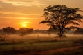 Sunset in Okavango Delta - Moremi National Park in Botswana, Sunrise over the savanna and grass fields in central Kruger National Royalty Free Stock Photo