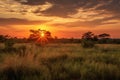 Sunset in the Okavango Delta - Moremi National Park in Botswana, Sunrise over the savanna and grass fields in central Kruger Royalty Free Stock Photo