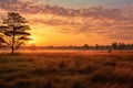 Sunset in the Okavango Delta - Moremi National Park in Botswana, Sunrise over the savanna and grass fields in central Kruger Royalty Free Stock Photo
