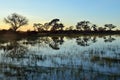 Sunset in the Okavango delta at sunset, Botswana Royalty Free Stock Photo