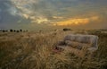 Abandoned sofa in a dry meadow