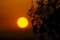 Sunset orange accompanied by the silhouette of plants in the city of Madrid and some clouds in the sky, in Spain. Europe Royalty Free Stock Photo