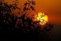 Sunset orange accompanied by the silhouette of plants in the city of Madrid and some clouds in the sky, in Spain. Europe Royalty Free Stock Photo