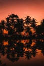 Sunset, Orange, Coconut Trees, Bali Royalty Free Stock Photo