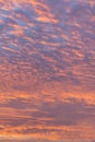 sunset with orange sky. Hot bright vibrant orange and yellow colors sunset sky. sunset with clouds. vertical photo Royalty Free Stock Photo