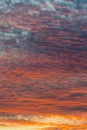 sunset with orange sky. Hot bright vibrant orange and yellow colors sunset sky. sunset with clouds. vertical photo Royalty Free Stock Photo