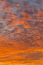 sunset with orange sky. Hot bright vibrant orange and yellow colors sunset sky. sunset with clouds. vertical photo Royalty Free Stock Photo