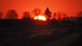 Sun and sunset orange sky over forest