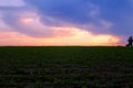 Sunset over African farm after storm Royalty Free Stock Photo