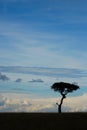 Sunset over the African savannah Royalty Free Stock Photo