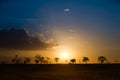 Sunset over the african savannah Royalty Free Stock Photo