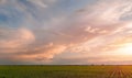 Sunset over agricultural green field Royalty Free Stock Photo