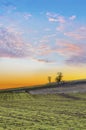Sunset over agricultural green field Royalty Free Stock Photo
