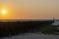 Sunset over the algae-covered pile heads near Westkapelle, Netherlands