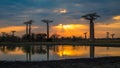 Sunset over Alley of the baobabs, Madagascar Royalty Free Stock Photo