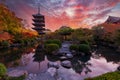 Sunset over ancient wooden pagoda Toji temple in autumn garden, Kyoto, Japan. Royalty Free Stock Photo