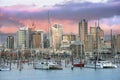 Sunset over Auckland harbour Royalty Free Stock Photo