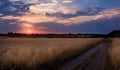 Sunset Over Barley Field in Rural Norfolk Royalty Free Stock Photo