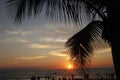 Sunset over beach/pacific ocean.. with palm tree silhouette Royalty Free Stock Photo