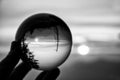 Sunset over Moutain Range with Forest Silhouette in Abstract Black and White Glass Ball Reflection