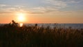 Sunset over the sea and the coast, overgrown with wild grass. Royalty Free Stock Photo