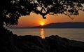 Sunset over Cannes, Silhouetting tree and rocks, Juan Les Pins France