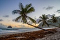 Sunset over Caribbean Martinique beach coconut Le Diamant