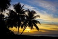 sunset over Caribbean Sea, Turtle Beach, Tobago Royalty Free Stock Photo