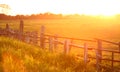 Sunset over cattle crush