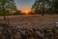 Sunset over Causses du quercy park in Lot department