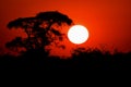 Sunset over chobe national park Royalty Free Stock Photo
