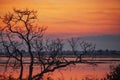 Sunset over the Chobe River - Botswana Royalty Free Stock Photo