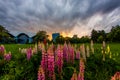 Sunset over Circus PARK in Bucharest, Romania Royalty Free Stock Photo