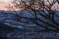 sunset over the city through tree branches Royalty Free Stock Photo