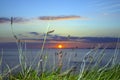 Sunset over clare with wild thistles Royalty Free Stock Photo