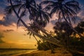 Sunset over coconut palms Sri Lanka Royalty Free Stock Photo